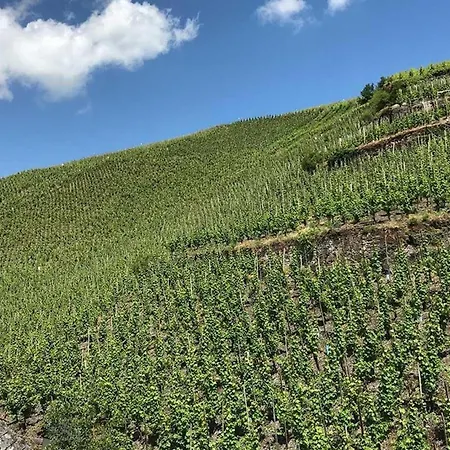 Ambiente Weinstein Am Doctorberg Appartement Verbandsgemeinde Bernkastel-Kues