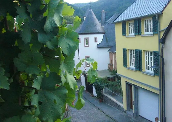 Ambiente Weinstein Am Doctorberg Apartmán Bernkastel-Kues