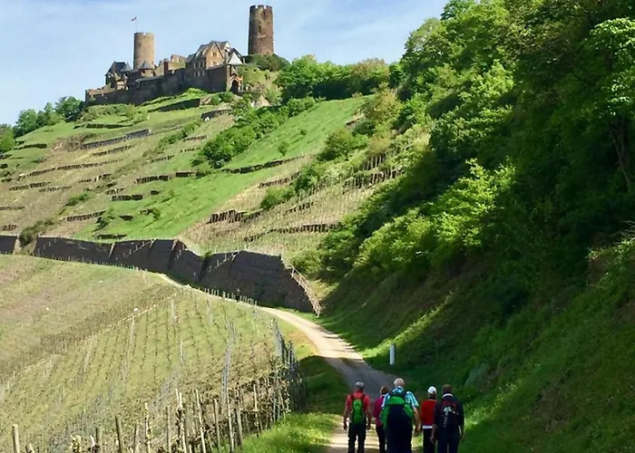 Ambiente Weinstein Am Doctorberg *