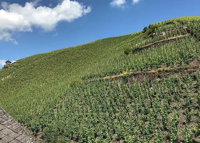 Ambiente Weinstein Am Doctorberg Apartmán Bernkastel-Kues